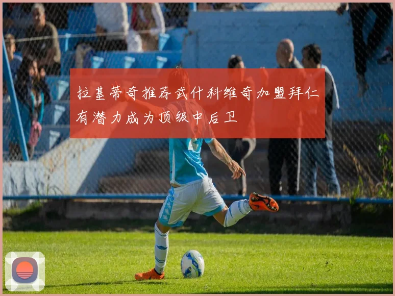 拉基蒂奇推荐武什科维奇加盟拜仁有潜力成为顶级中后卫